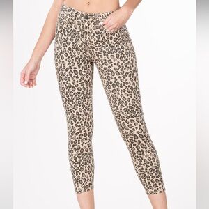Leopard Print pants